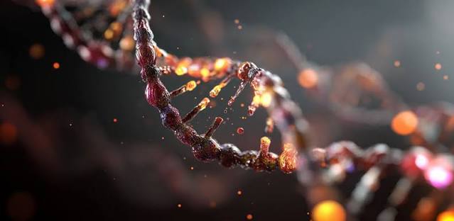 Elica di DNA, il materiale genetico che compone il genoma